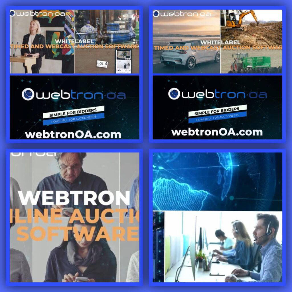 Government auction software and services.